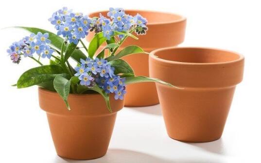 AB膠粘（zhān）接花（huā）盆